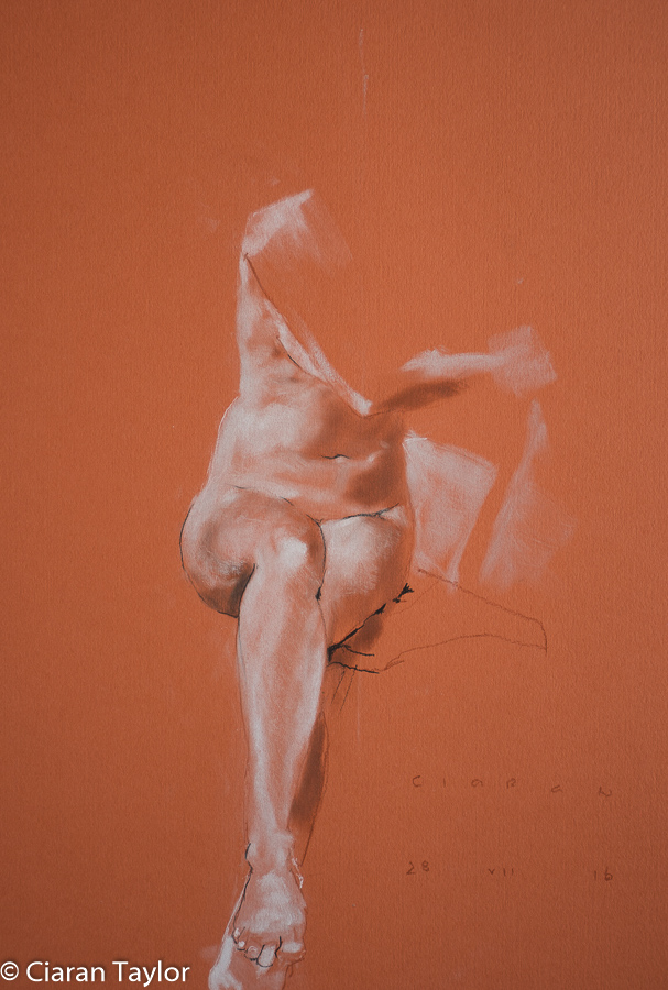 Life model Alicja, back view, nude, standing,
	    by Ciaran Taylor, Irish artist. Pastel