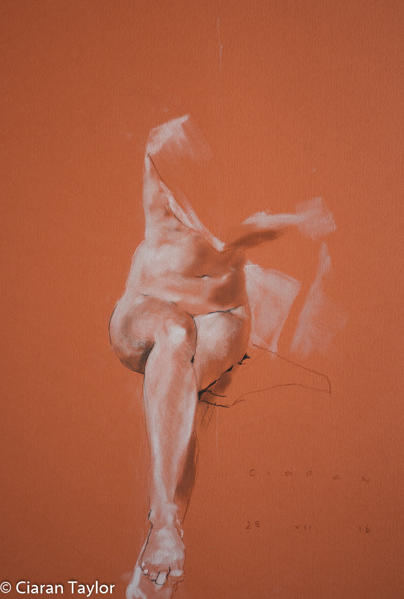 Life model Alicja, back view, nude, standing,
	    by Ciaran Taylor, Irish artist. Pastel